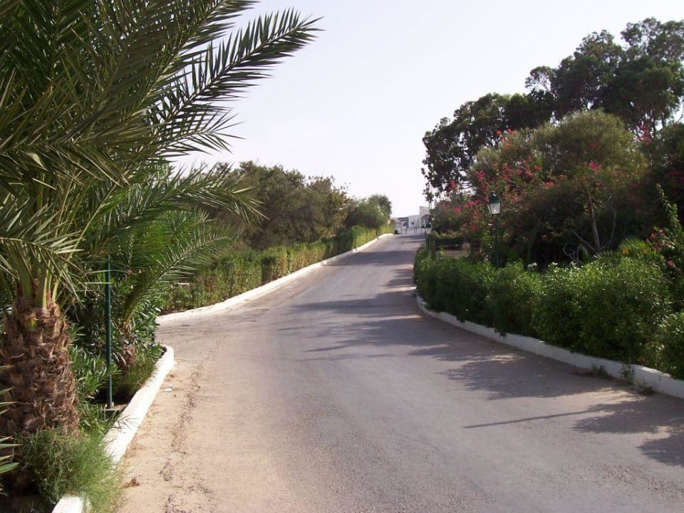 Ausfahrt aus dem Hotel Hotel Sangho Club Zarzis