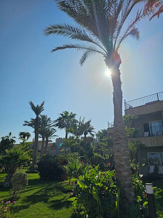 Gartenanlage ananea Hurghada