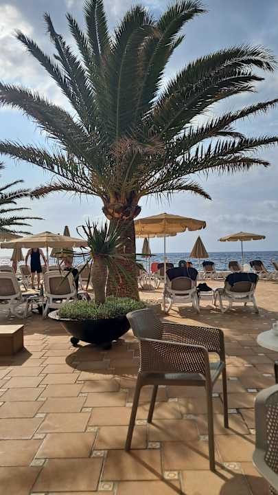 Gartenanlage Grupotel Aguait Resort & Spa - Adults only