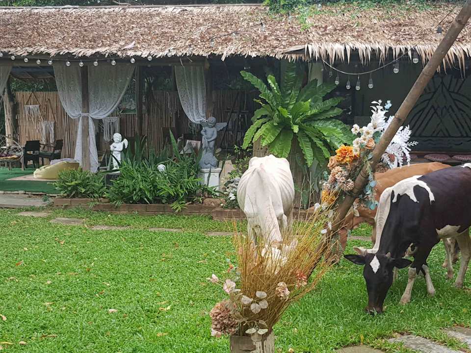 Gartenanlage The Antique Riverside Resort