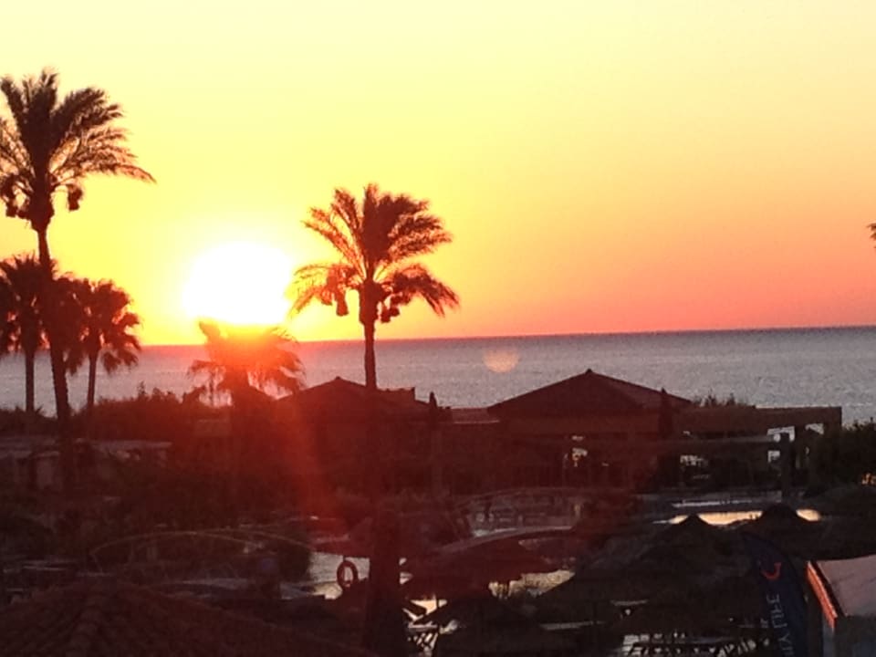 Gartenanlage Atlantica Aegean Blue