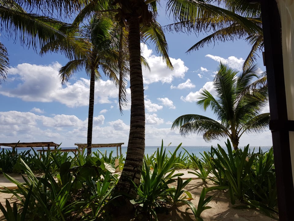 Garten Akumal Bay Beach & Wellness Resort
