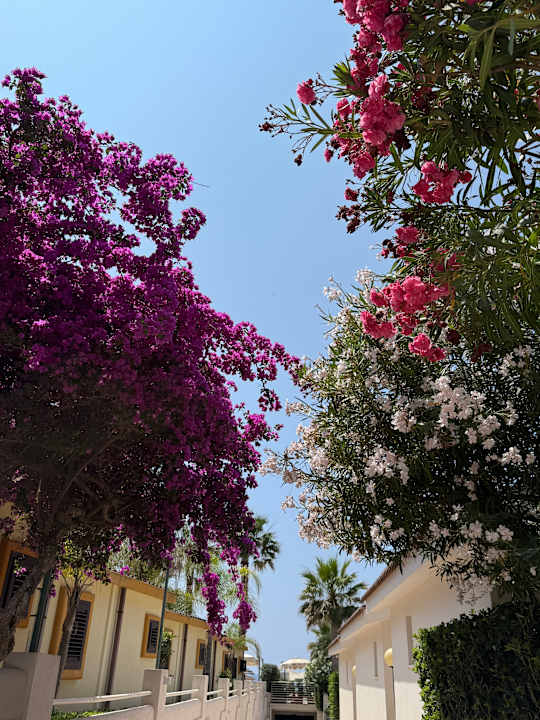 Gartenanlage Baia Del Godano Resort & Spa