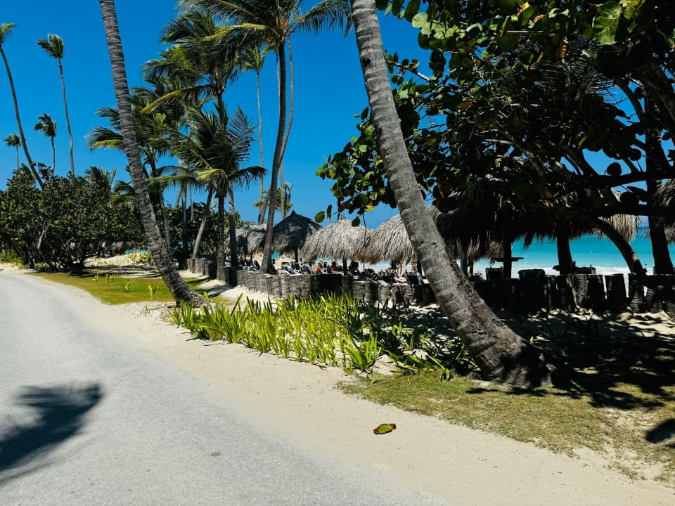 Gartenanlage Grand Palladium Punta Cana Resort & Spa