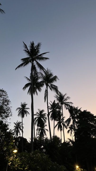 Gartenanlage The Fair House Beach Resort