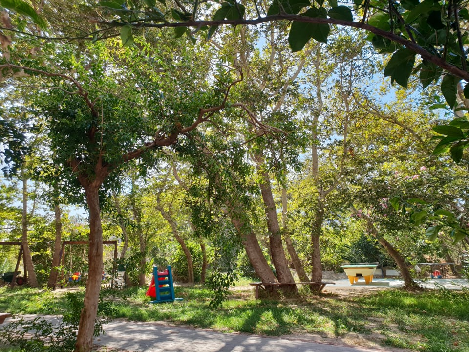 Gartenanlage Hotel South Coast