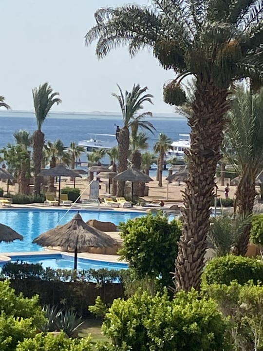 Ausblick Lotus Bay Beach Resort