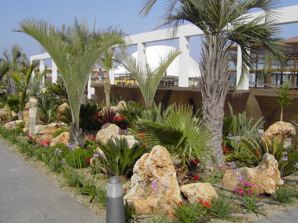 Gartenanlage Blue Lagoon Resort