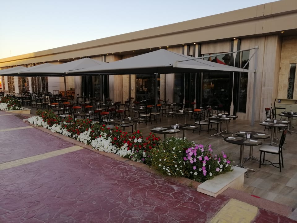 Gastro Pickalbatros Alf Leila Wa Leila Resort - Neverland Hurghada