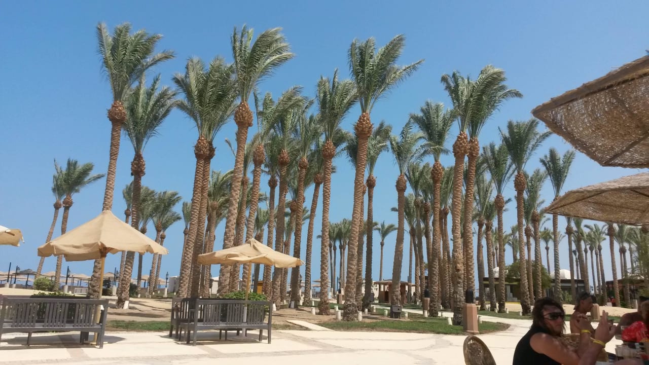 Beim Fastfood zur Mittagszeit Grand Makadi