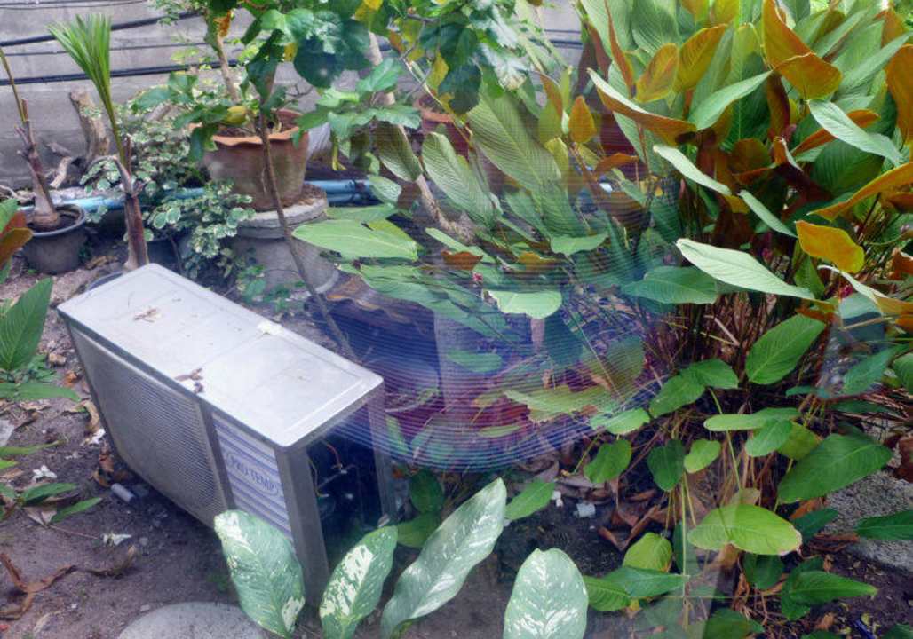 Ausblick aus dem Zimmer Hotel The Cottage