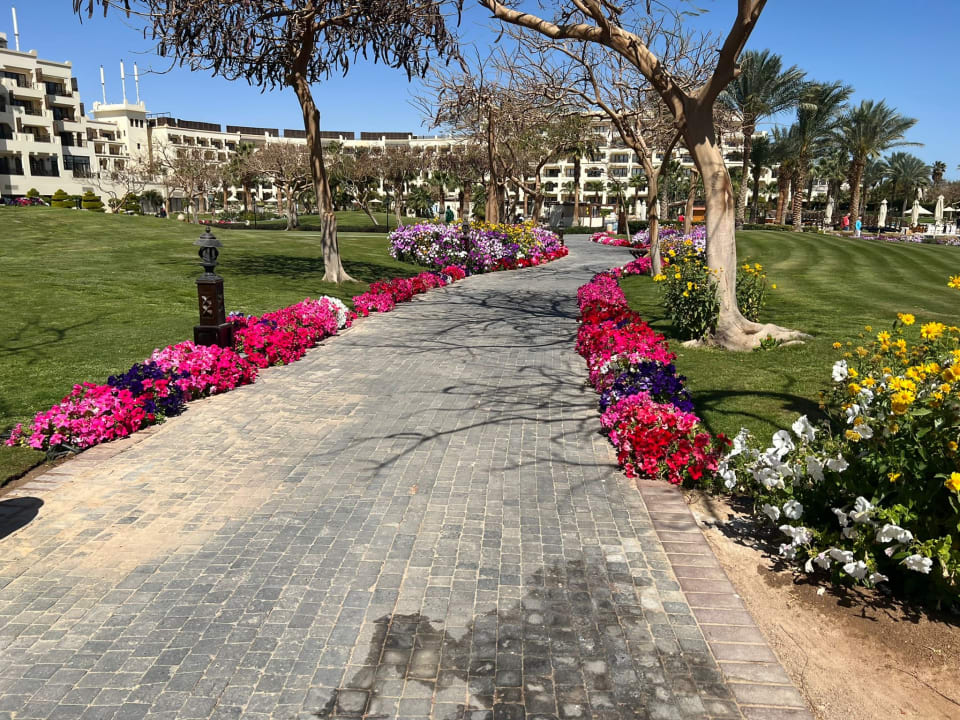 Gartenanlage Steigenberger ALDAU Beach Hotel