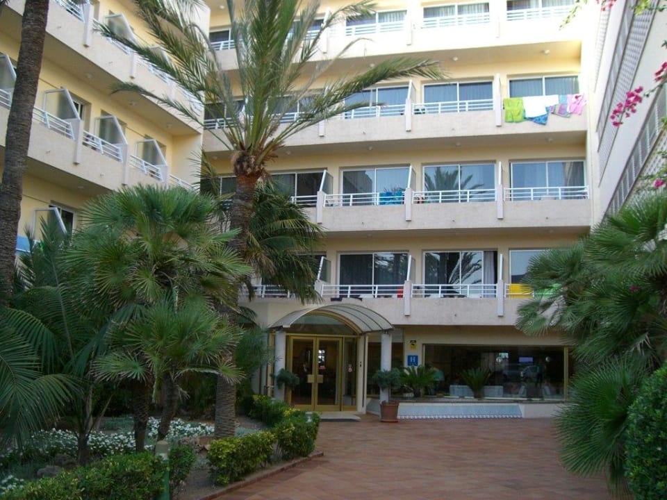 Eingang The Sea Hotel by Grupotel - Adults only