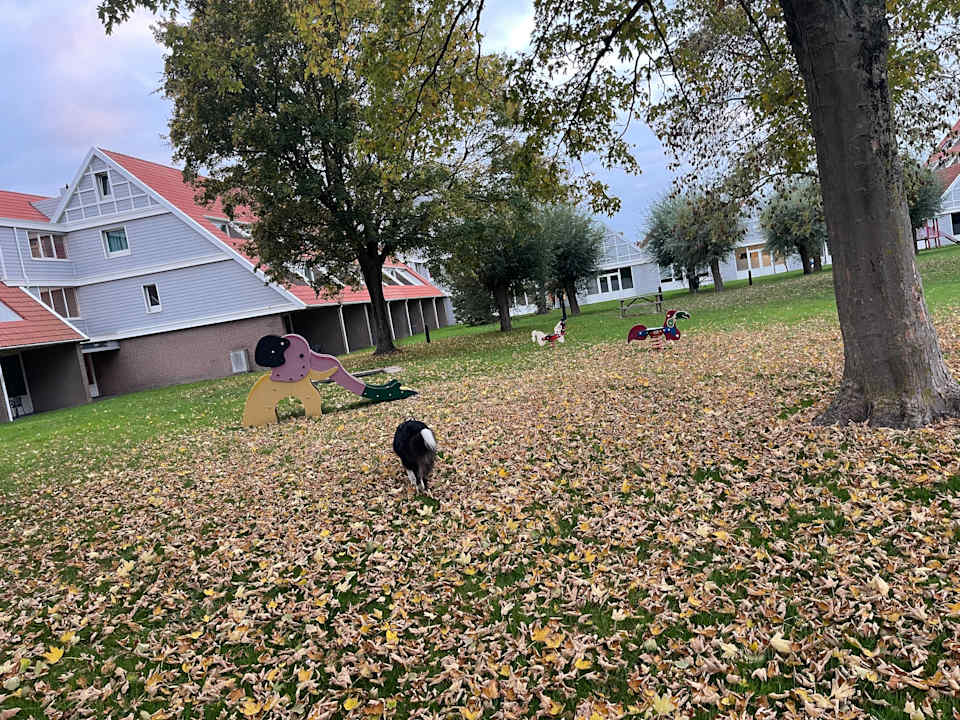 Gartenanlage Summio Parc Aquadelta