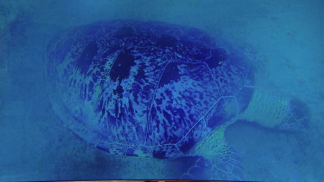 Lobby Three Corners Happy Life Beach Resort