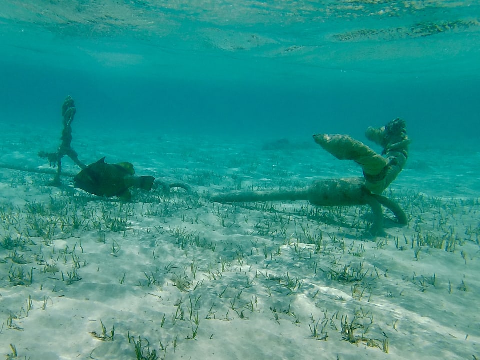 Strand Pickalbatros Villaggio Resort - Portofino
