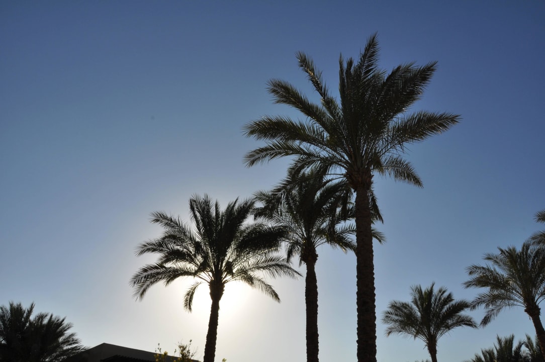 Aussicht The Grand Hotel Sharm El Sheikh