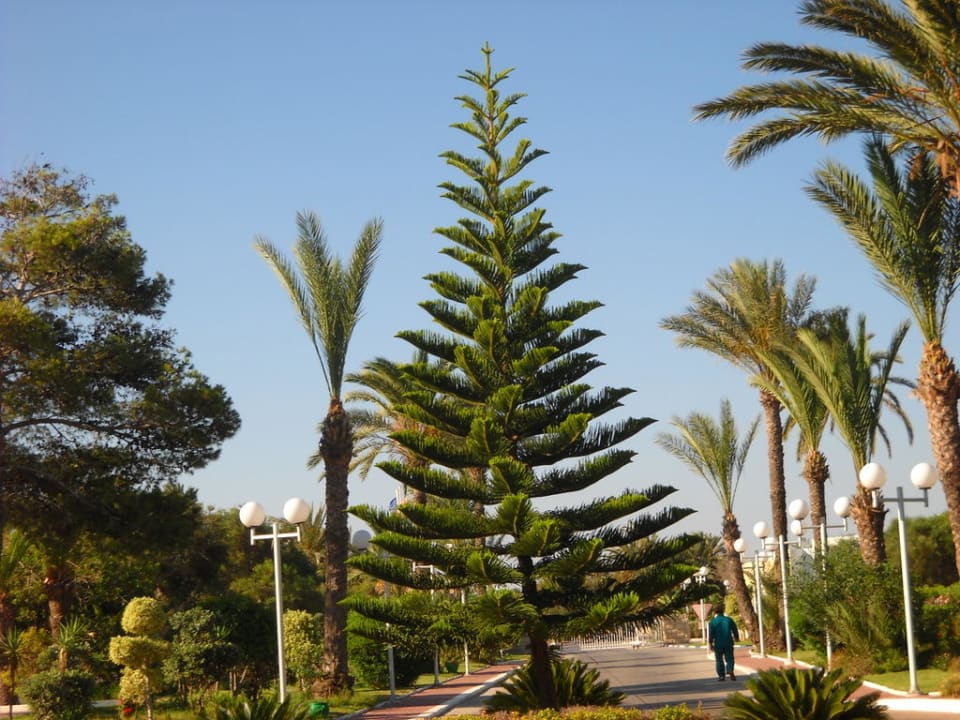 Entrance Ruspina Beach Resort