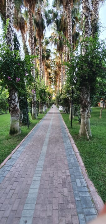 Gartenanlage Hotel Gardenia Beach