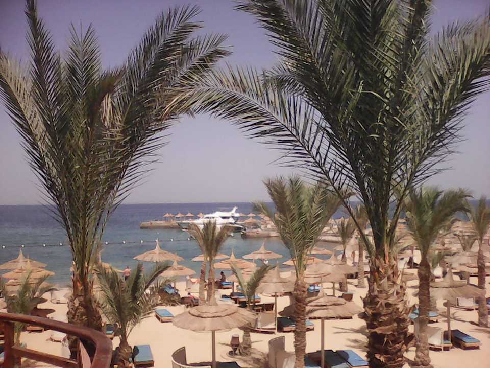 Beach Albatros Resort Beach Albatros Resort