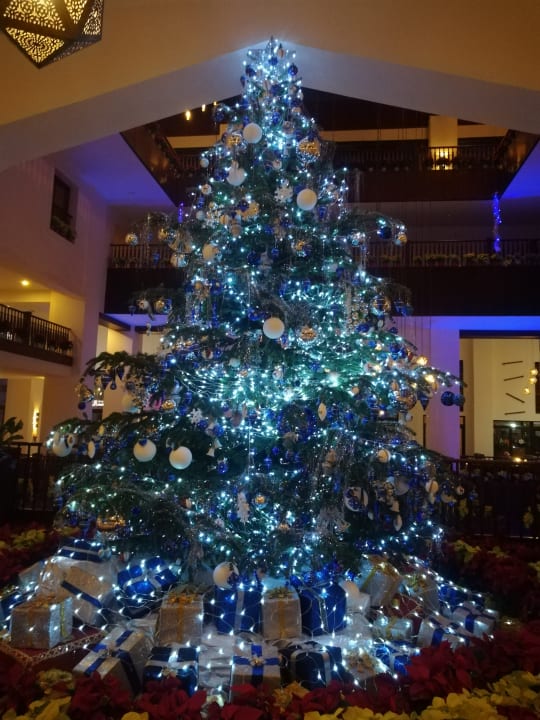 Lobby Steigenberger Aqua Magic