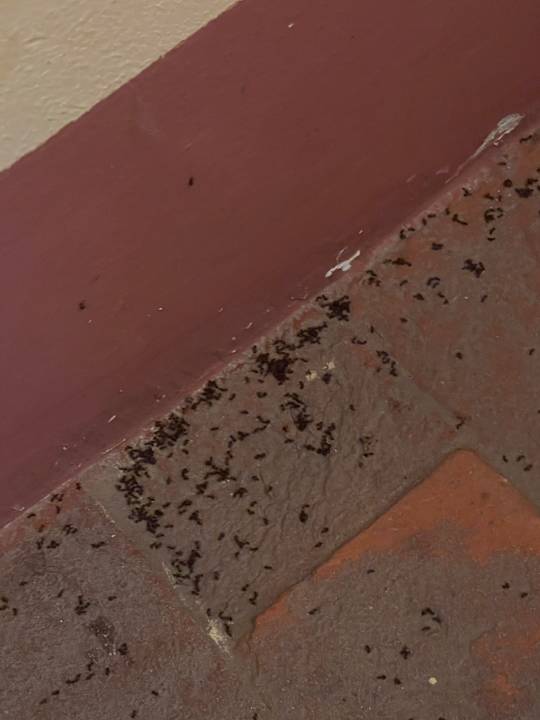 Zimmer BORGO GIUSTINIANI Mora Pero Melo