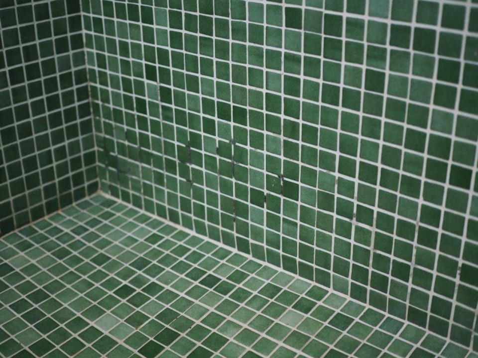 Schwarz in den Fugen der Dusche Hotel Hyde Park Lane