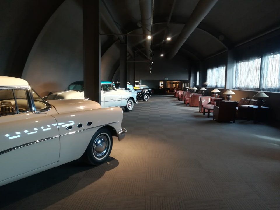 Sonstiges PALOMA Perissia