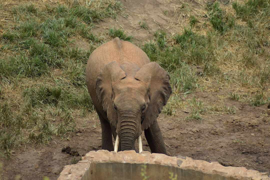 Blick von unserer Terrasse Rhino Valley Lodge