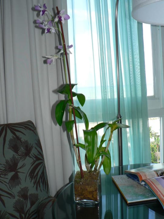 Netter Blumengruß The Palms Hotel & Spa