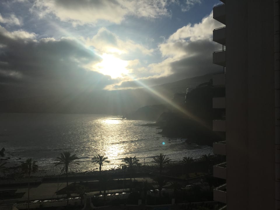 Zimmer Checkin Concordia Playa