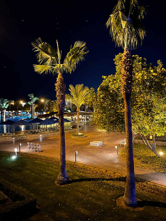 Gartenanlage Desert Rose