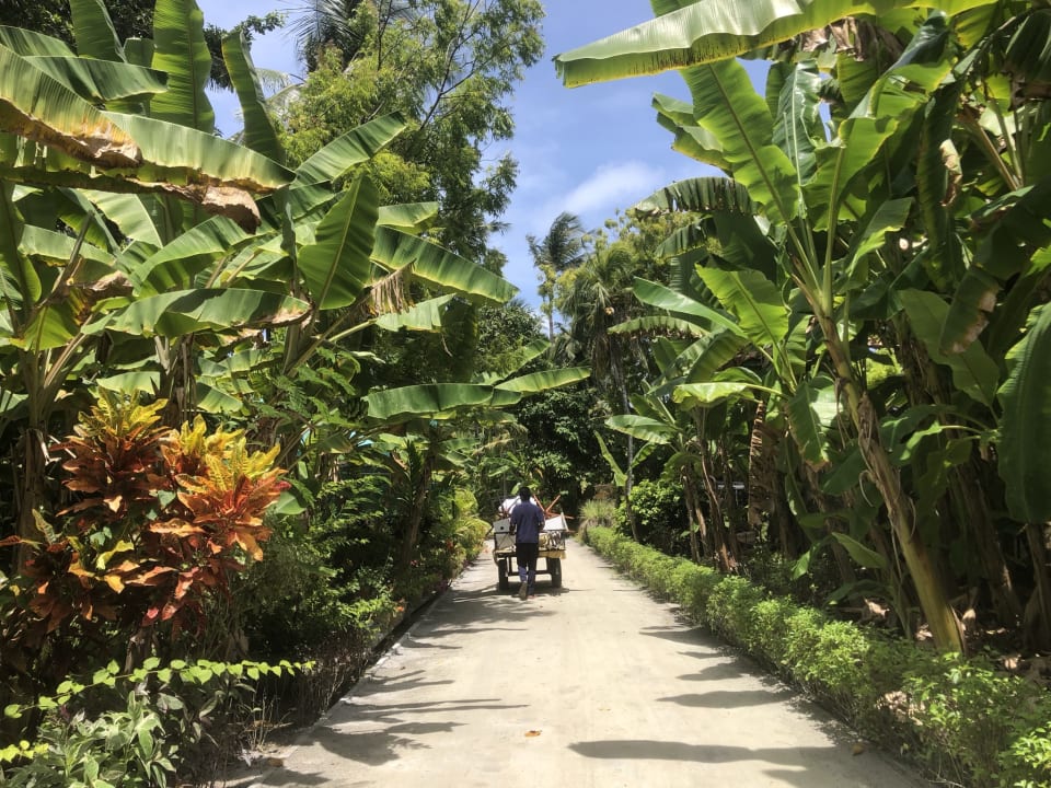 Gartenanlage Adaaran Select Hudhuran Fushi - Premium All Inclusive