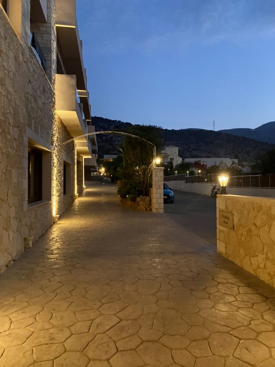 Gartenanlage Cactus Royal