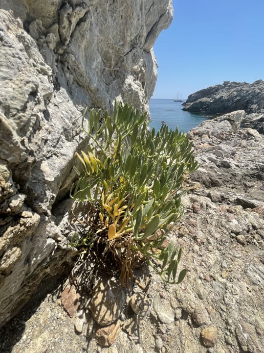 Ausblick Hotel Kalithea Horizon Royal