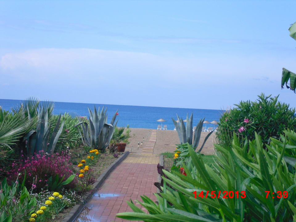 Gepflegte Außenanlage Skys Hotel