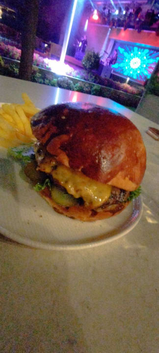 Gastro Acanthus Cennet Barut Collection