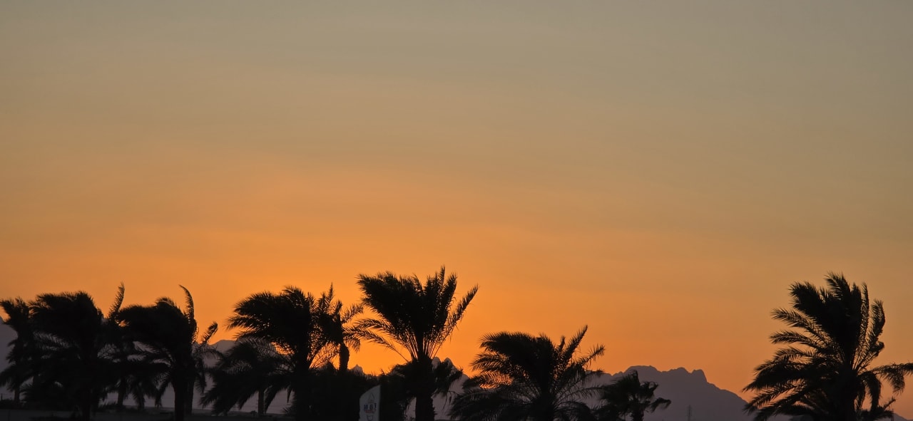 Sonstiges Desert Rose