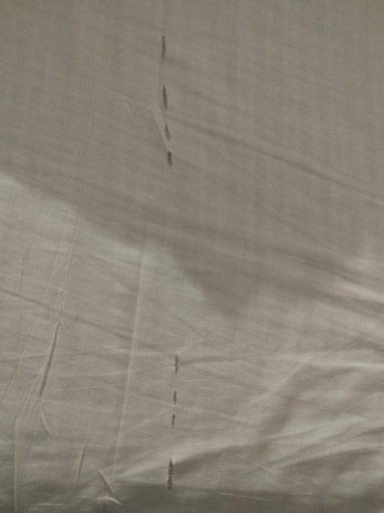 Zimmer Constantinos The Great Beach Hotel