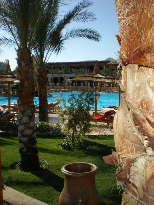 Einer der Pools Pickalbatros Palace Resort