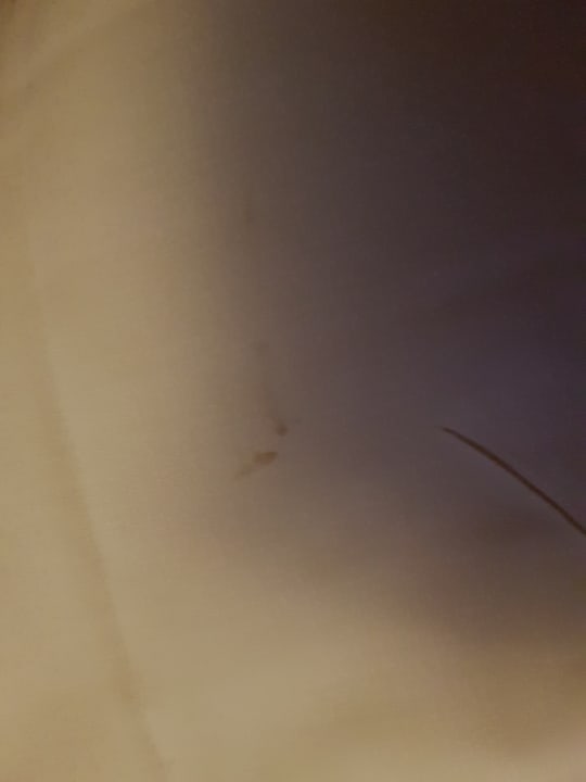 Zimmer Jaz Makadi Oasis Resort