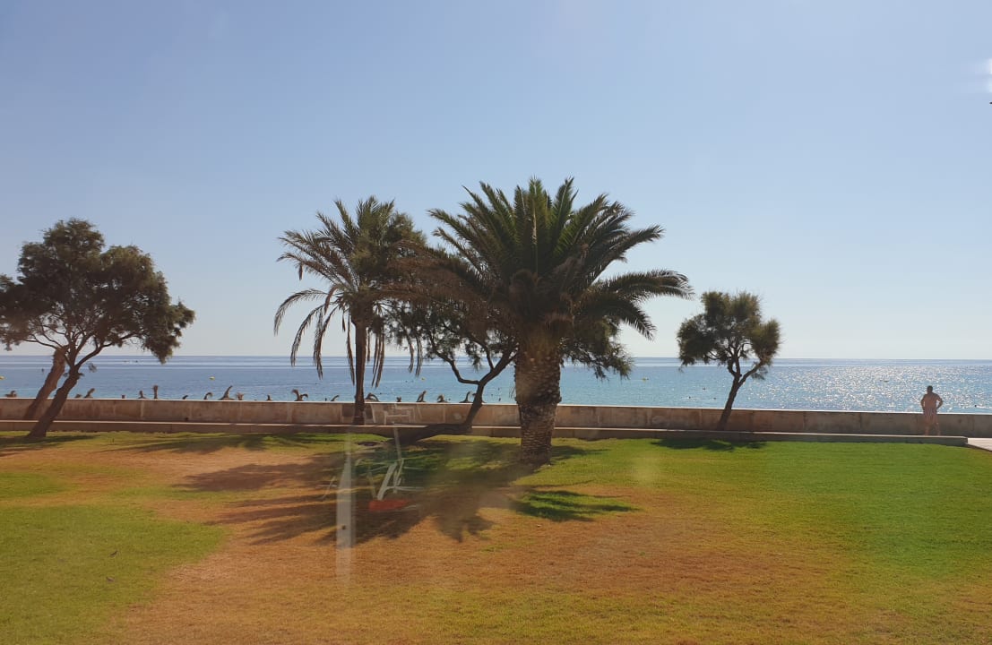 Ausblick Hipotels Hipocampo Playa