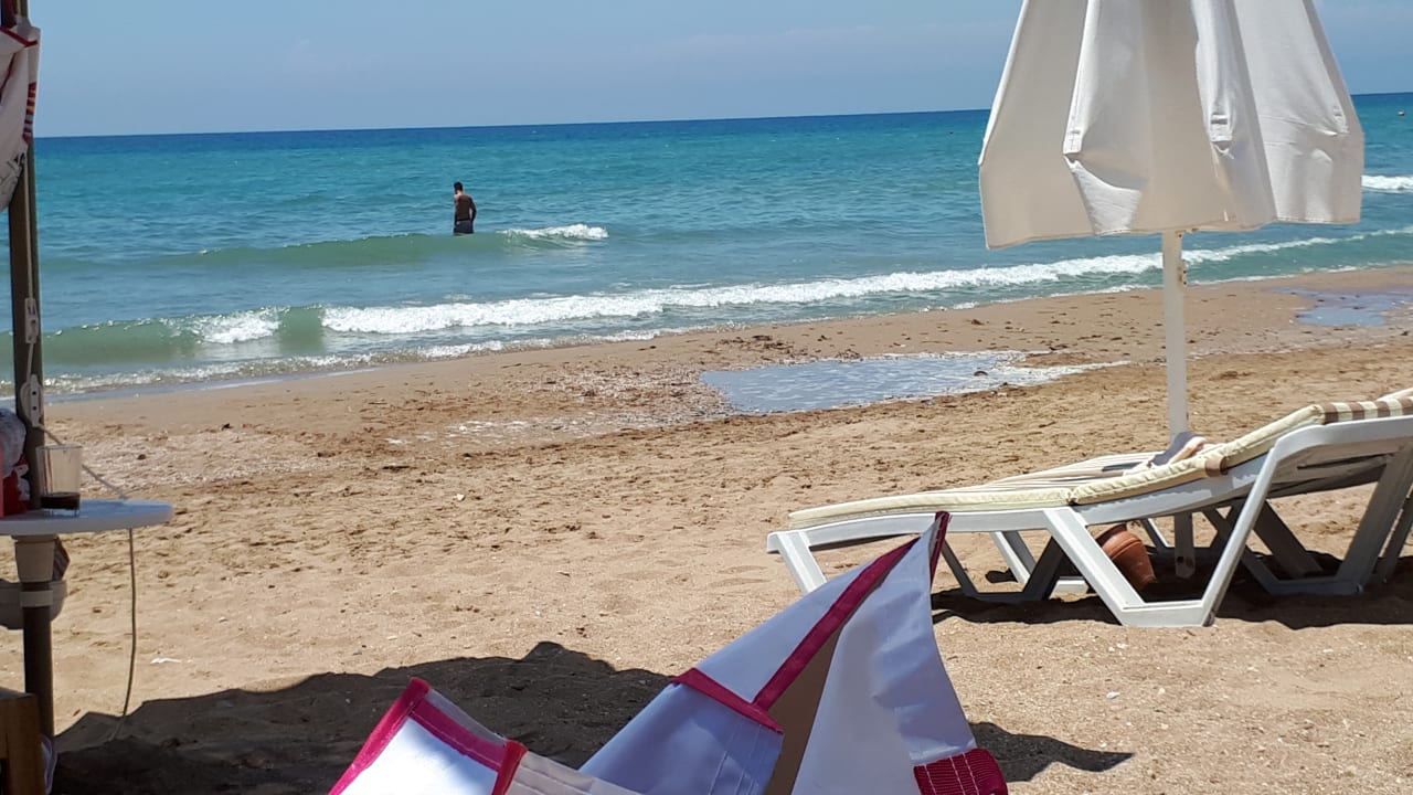 Strand Acanthus Cennet Barut Collection