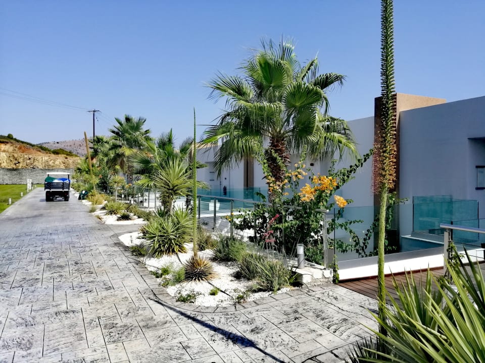 Zimmer Princess Andriana Resort & Spa