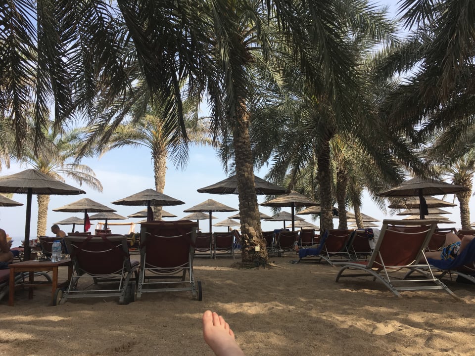 Strand Miramar Al Aqah Beach Resort