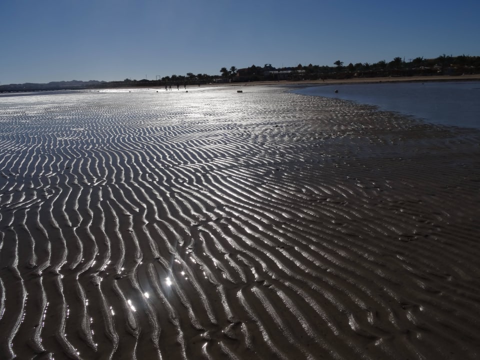 Sparziergang am strand JAZ Aquamarine Resort