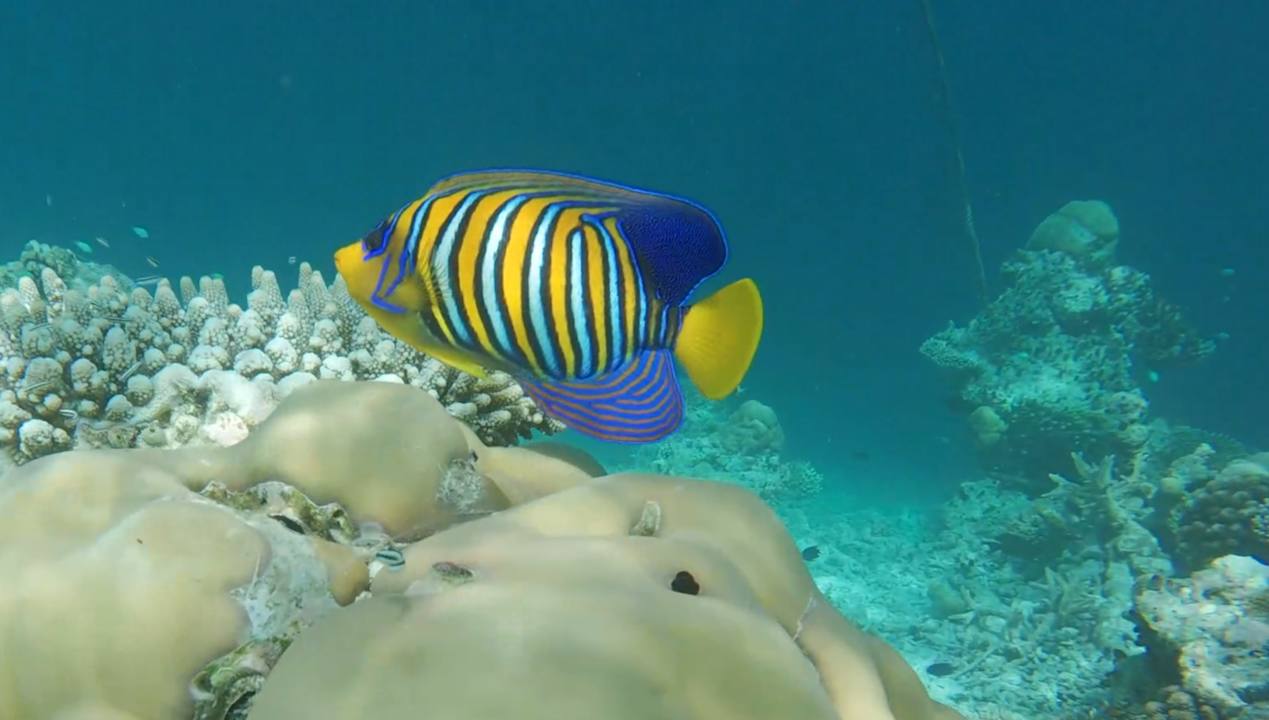 Strand Vilamendhoo Island Resort & Spa