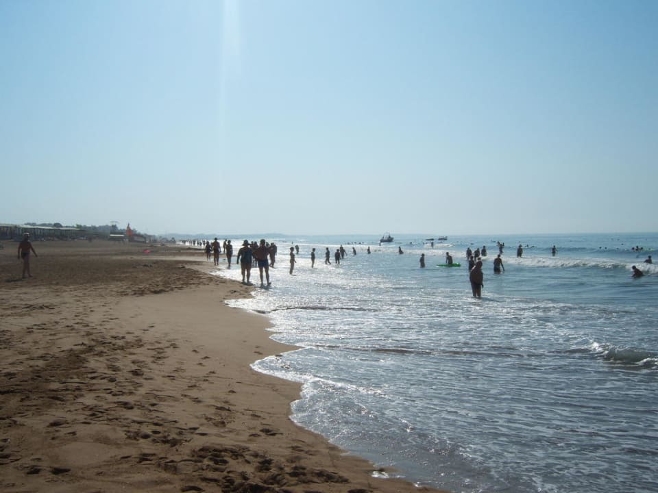 Kilometerlanger Strand Hotel Orfeus Park