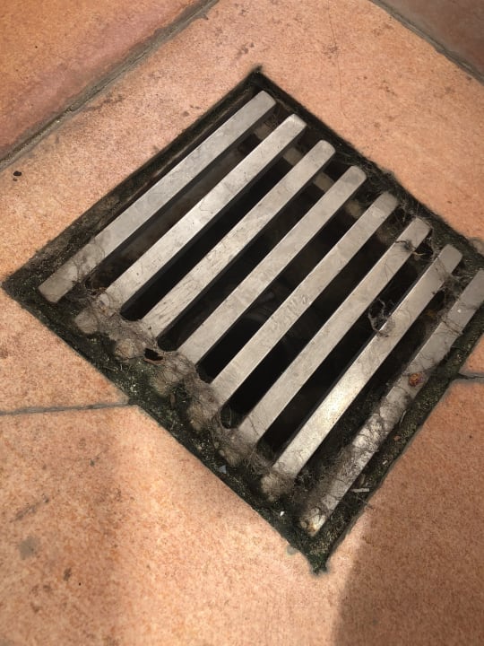 Pool Palma Bellver by Meliá