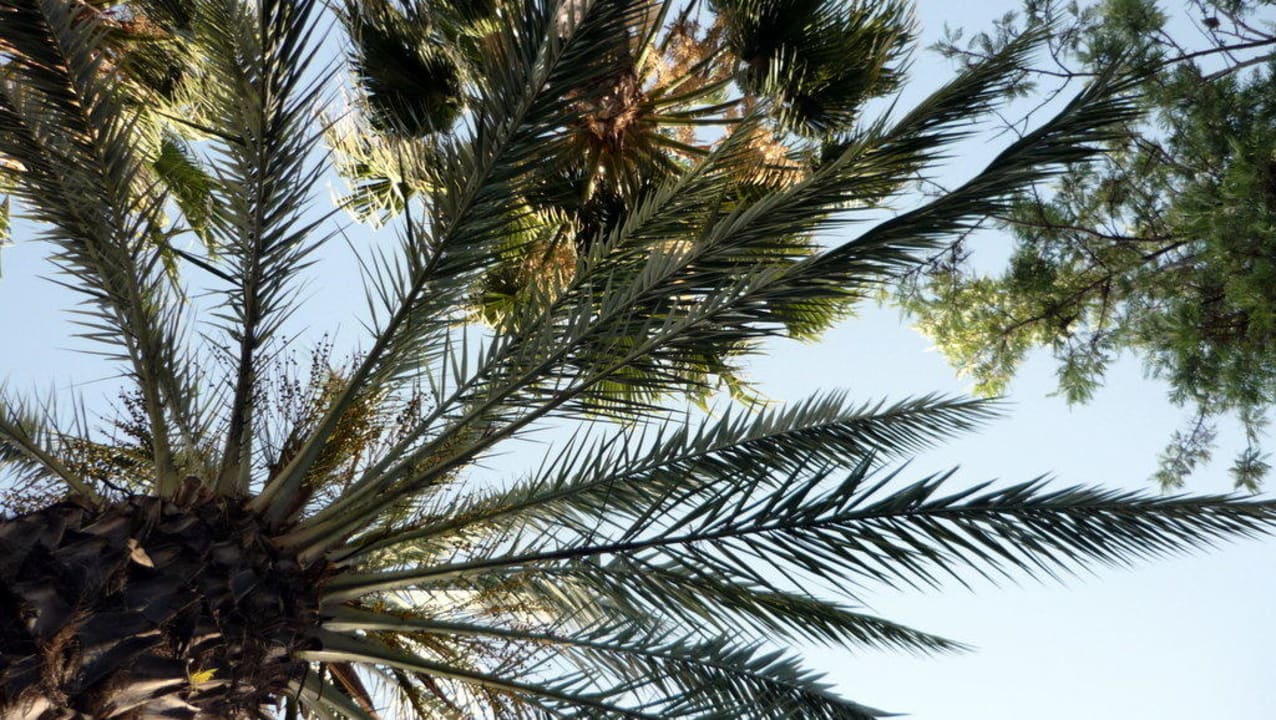Garten Botanik Hotel & Resort